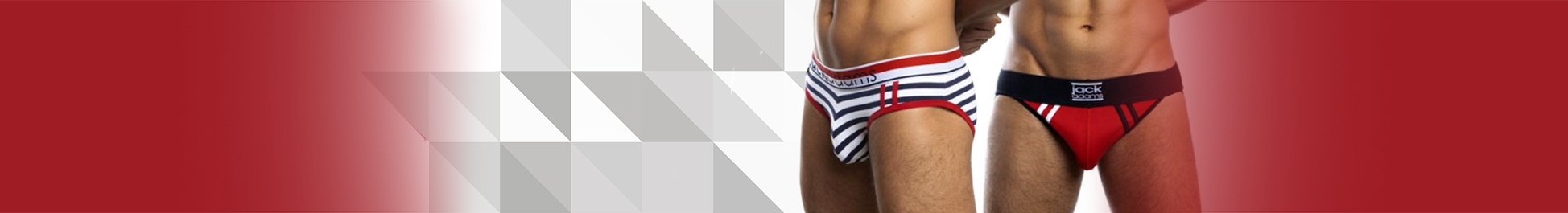 Briefs Briefs