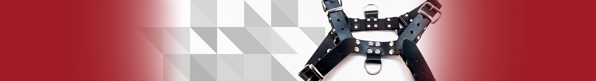 Leather Gear Leather Gear
